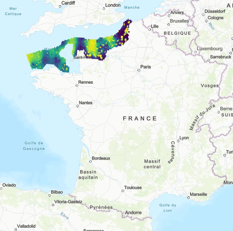 overview
