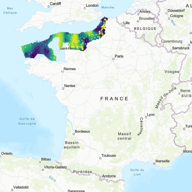 overview